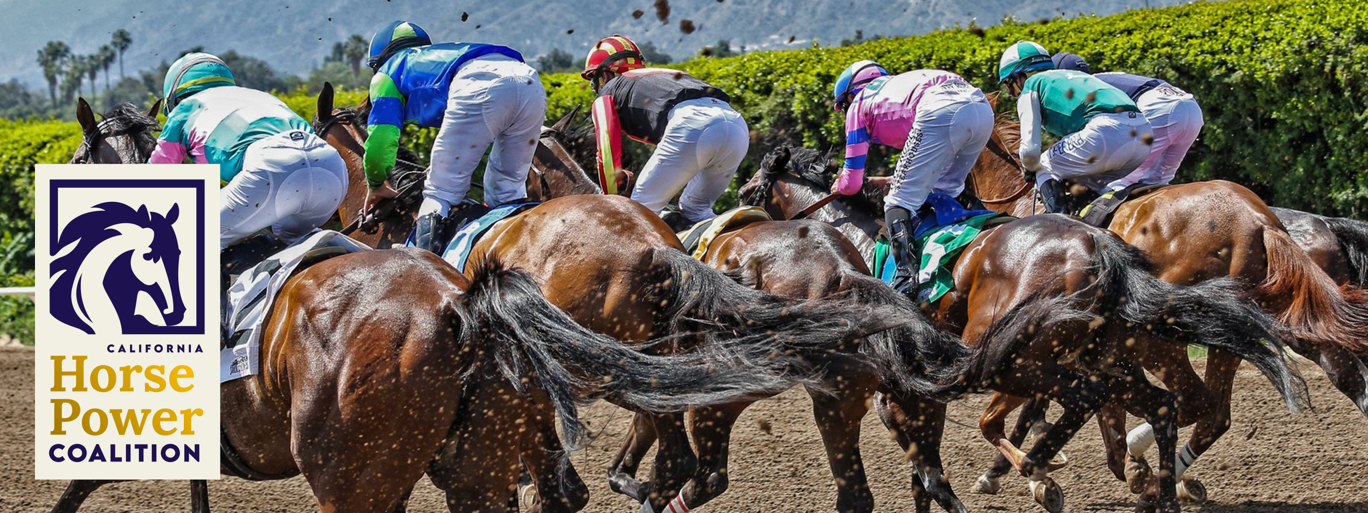 Horse Racing on Track