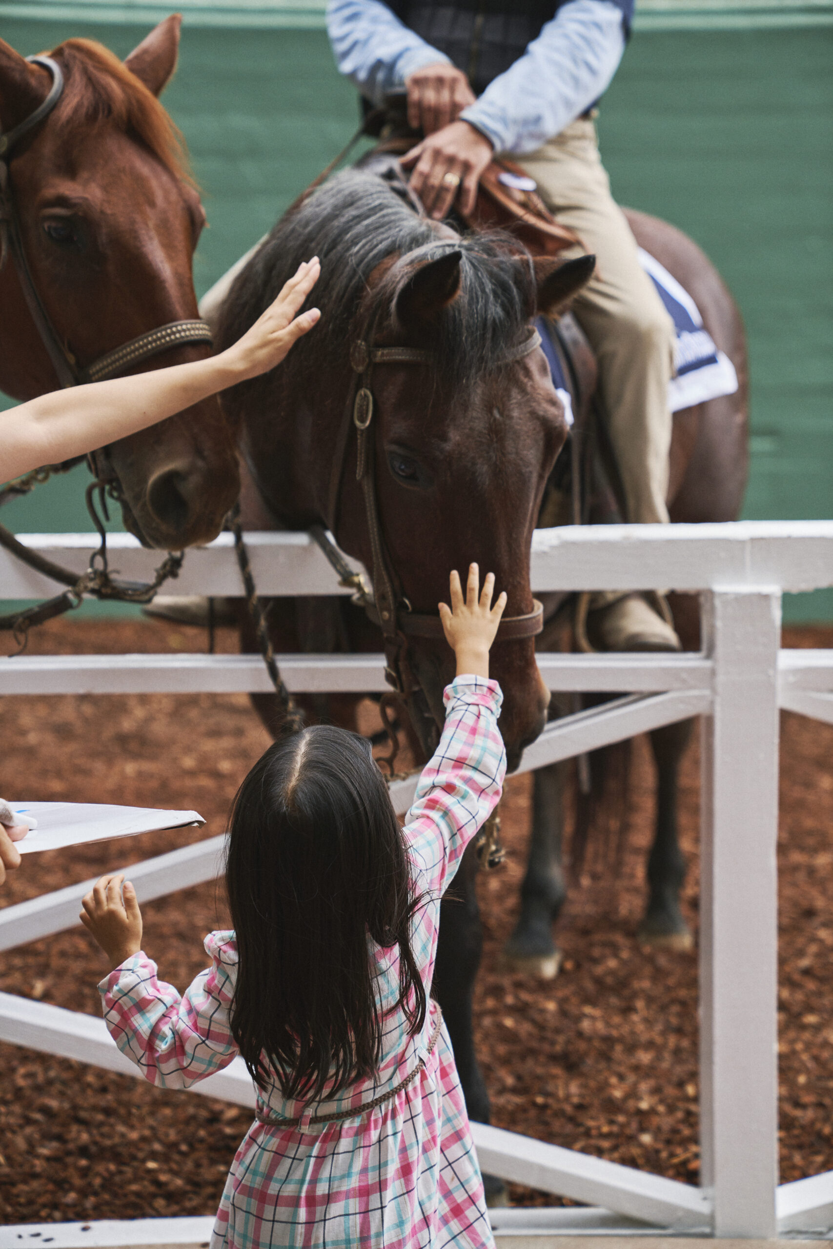 Child petting horse