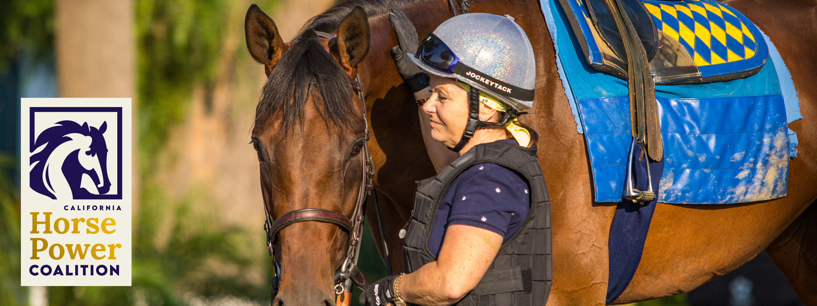 Woman Petting Horse