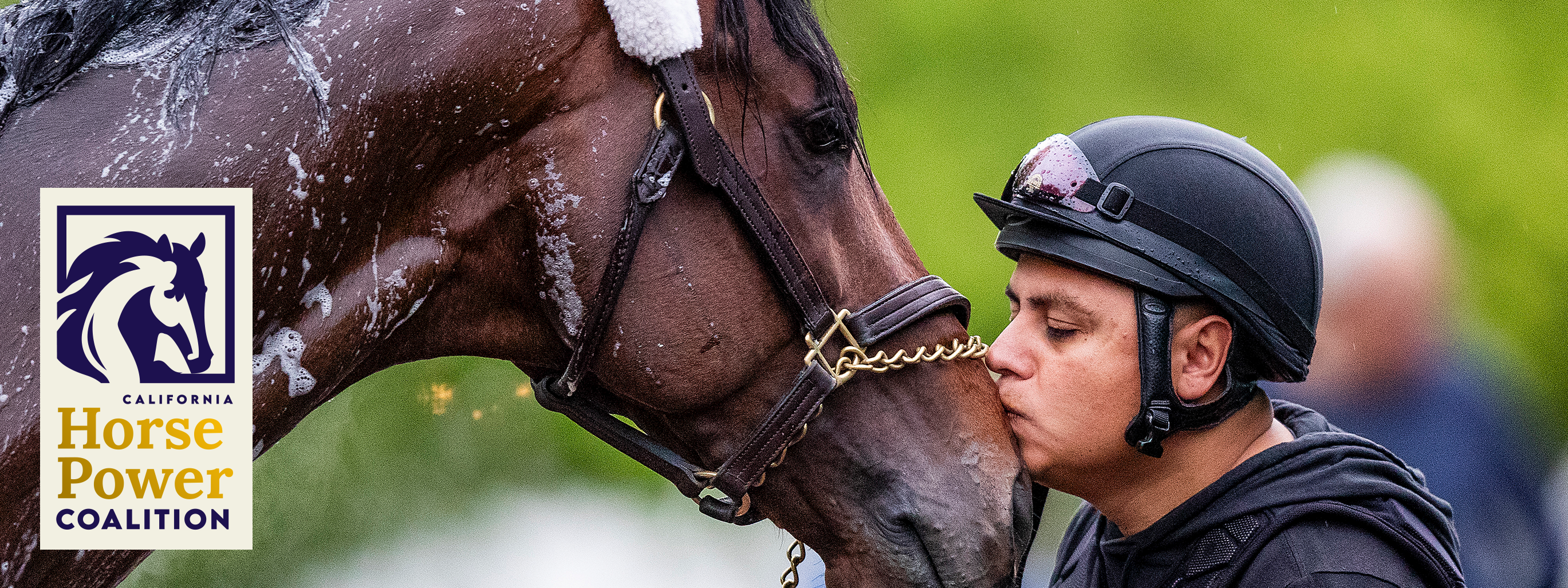 Jockey showing affection to horse