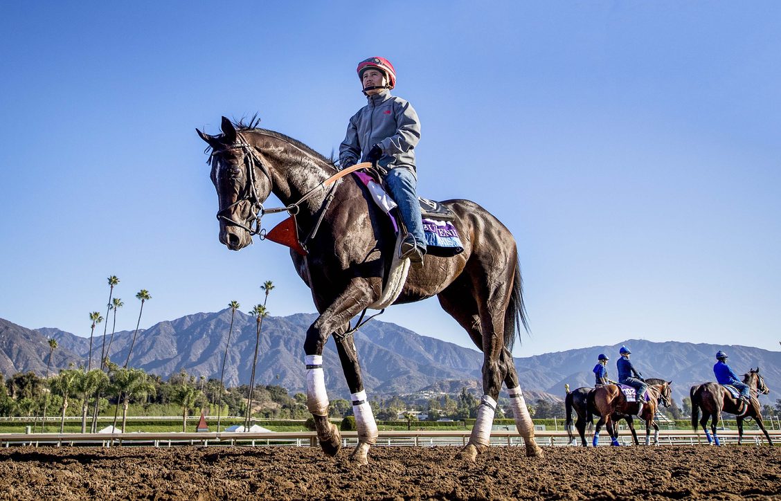 Introducing the California Horse Power Coalition California Horse