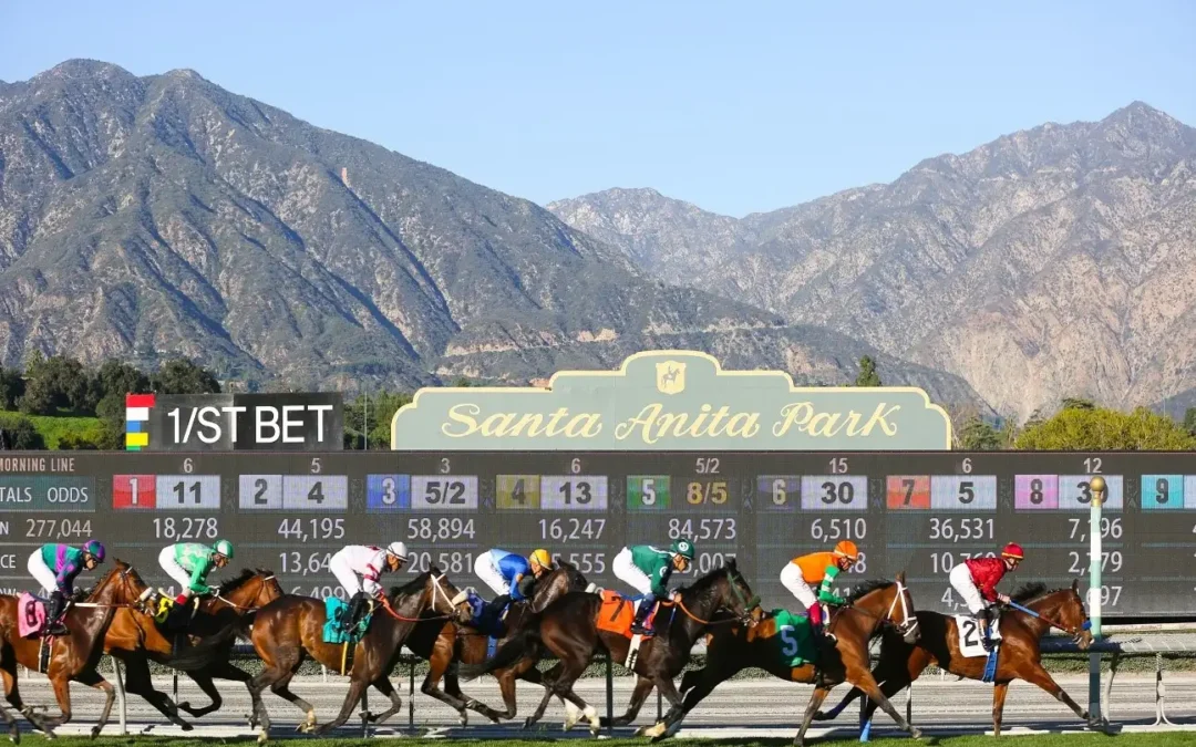 SANTA ANITA SAFETY MARK OF 99.98% HIGHLIGHTS INCREASES IN ALL KEY CATEGORIES