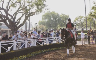 Year of the Horse: Powering California’s Economy, Culture, and Future
