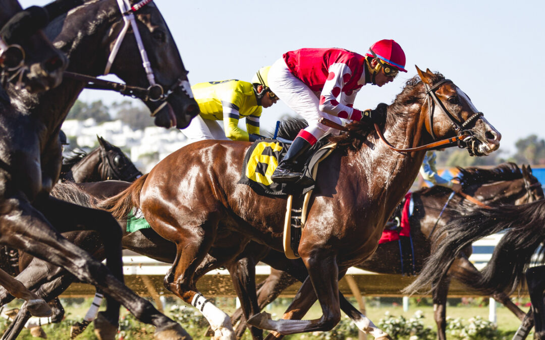 How Del Mar’s Commitment to Safety Sets the Standard for Thoroughbred Racing