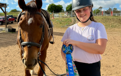 DR. TROUTMAN, THE HORSE WHO HELPS HEAL