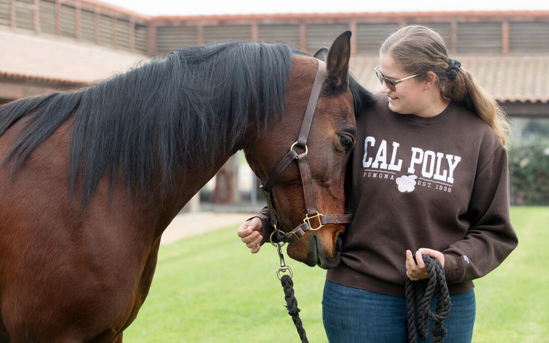 Celebrating 100 Years of W.K. Kellogg Arabian Horse Center